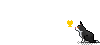 :Q1